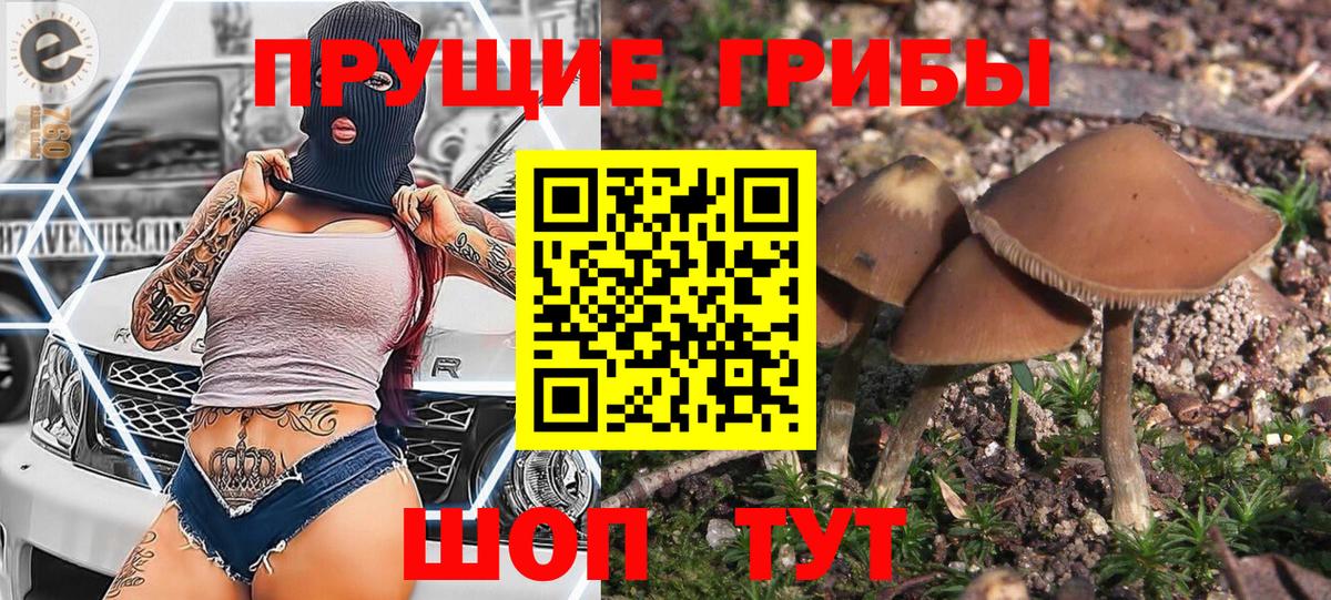 Псилоцибиновые грибы мицелий  Вход с VPN  купить  сайты  Красноармейск 